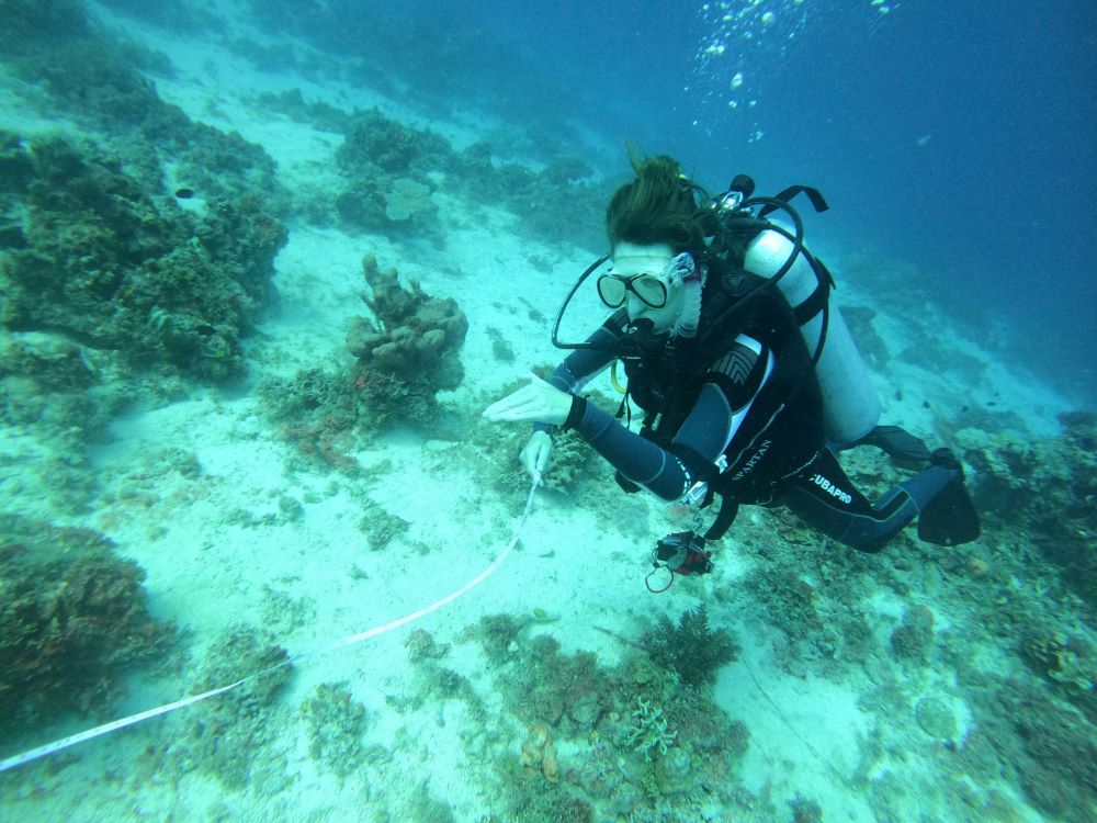 Pujada Bay rrreefs