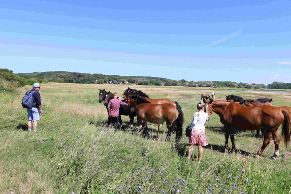 40 Jahre Sopra Hiddensee Ostsee